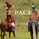 Standard Bearer Standard Bearer - VideoHive Item for Sale
