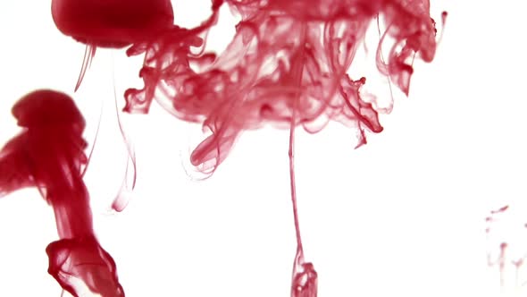 Red Ink Dissolves in Water