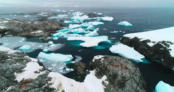 Icebergs and coast