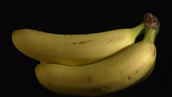 Closeup Shot of Bananas Rotating with a Black Background