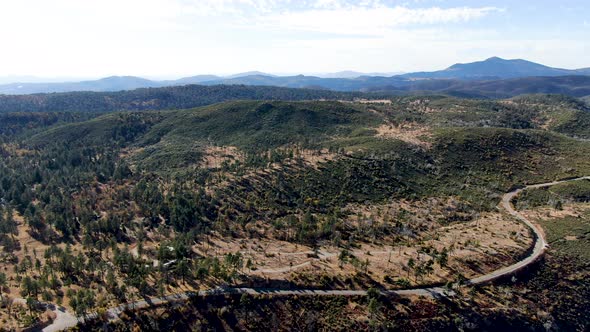 Small Asphalt Road in Laguna Mountains, South California alt