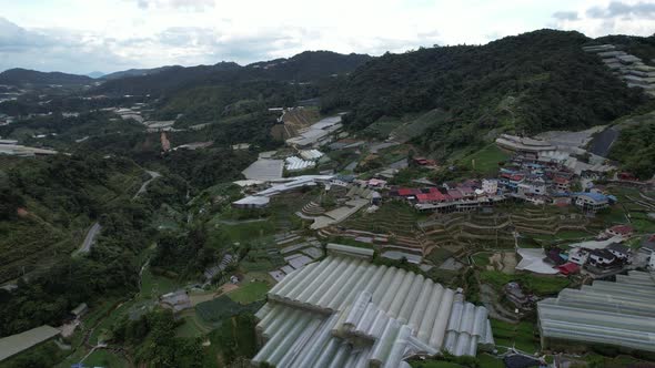 Cameron Highlands, Pahang Malaysia alt