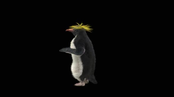 Penguin Dancing HD alt