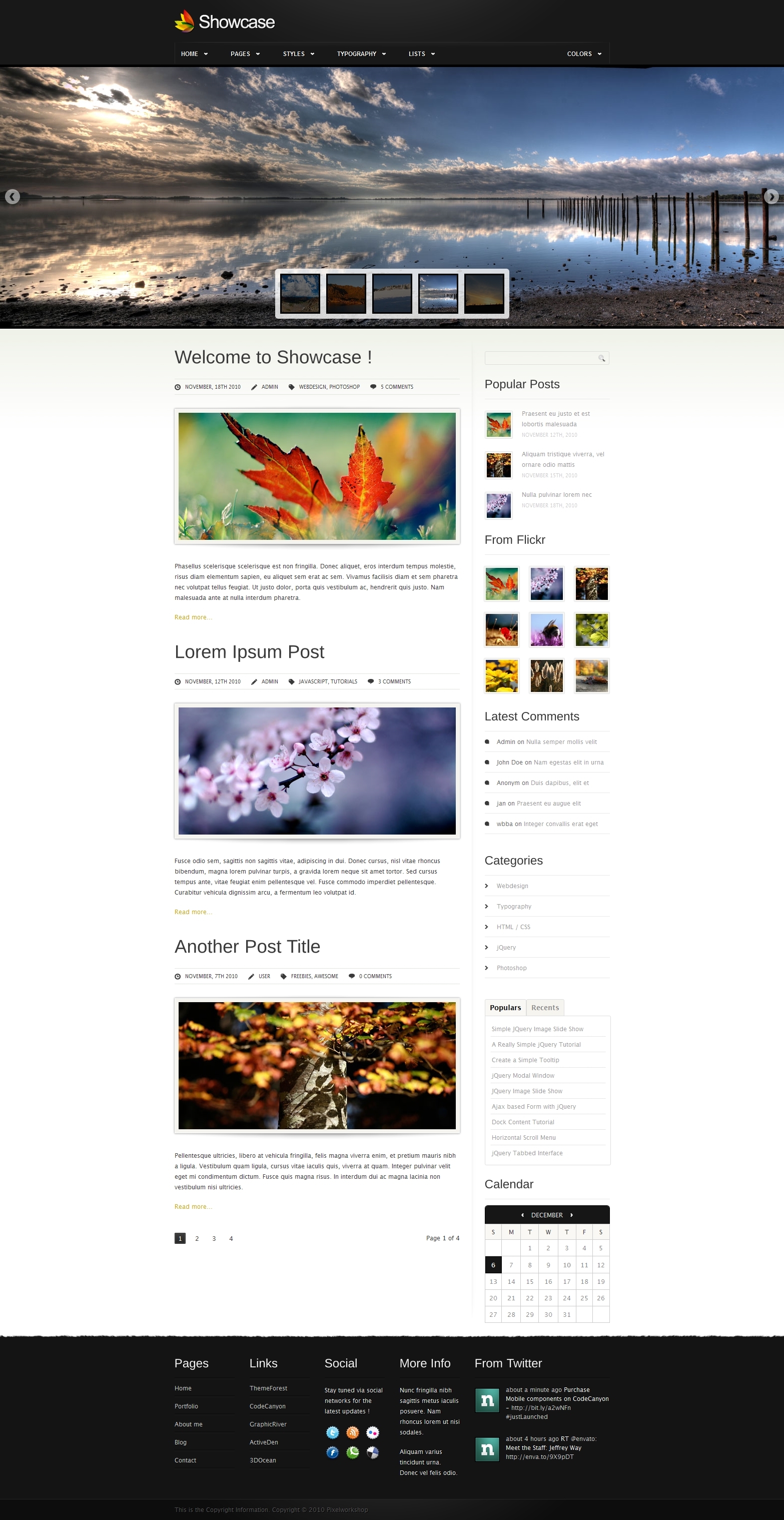 Showcase Professional Portfolio Template By Pixelwork Showcase Professional Portfolio Template
