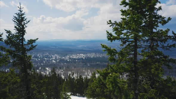 Drone flies between trees over mountain slope, early spring with snow alt
