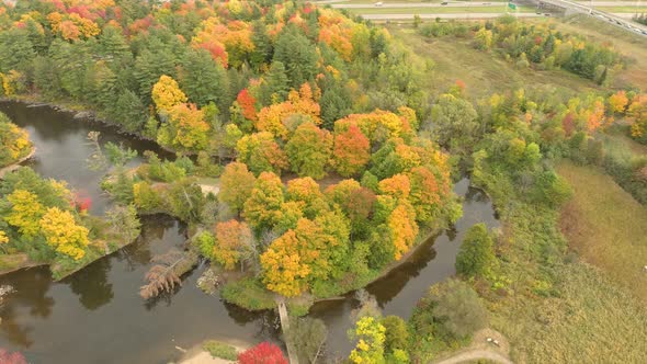 Drone lowering over city park in fall while approaching nice trees alt