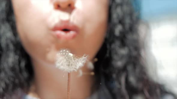 Slow Motion Close-Up Shot of Woman Carefree Blowing a Dandelion Outdoors on a Sunset alt