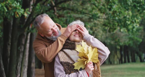 Elderly Couple on a Walk in a Forest Park, Autumn Day, Gray-haired Man Aapproaches His Wife and alt