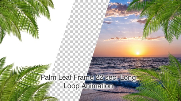 Palm Leaf Frame Loop 4K