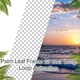 Palm Leaf Frame Loop 4K - VideoHive Item for Sale