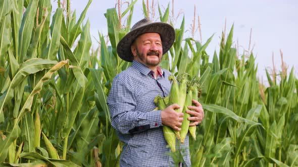 Side View Proudly Standing Elder Farmer Holding Corn Crop Turns Head and Looking at Camera alt