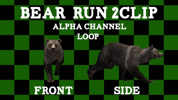 Bear 2 Clip Alpha Loop