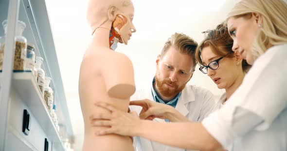 Students of Medicine Examining Anatomical Model in Classroom