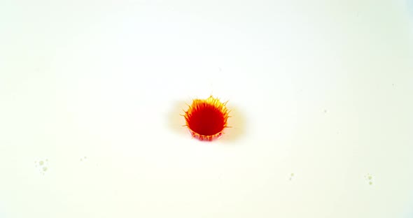 Orange Liquid falling into Water against White Background, Slow motion 4K alt