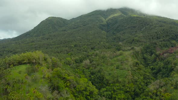 Mountains Covered with Rainforest Philippines Camiguin alt
