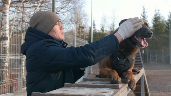 A Smiling Trainer Petting His German Shepherd Dog Sitting on the Stand alt