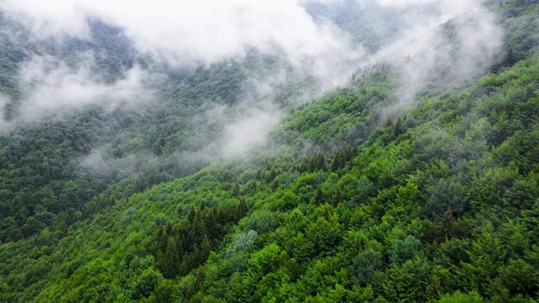 Clouds Above Mountain Forest Flying Through the Magical Summer Forest at Rainy Weather Aerial View alt
