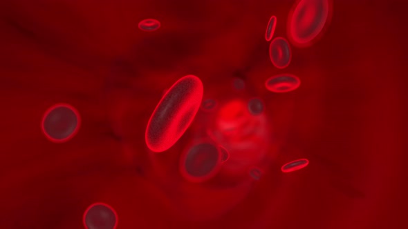 3D Animation of Haemoglobin cells floating in the blood stream