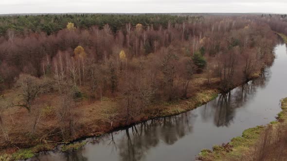 Amazing Drone Footage of Autumn Forest with Calm River
