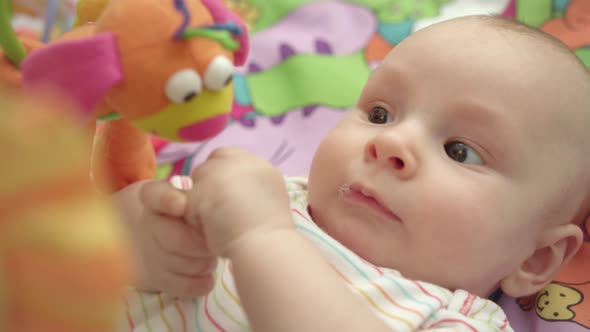 Portrait of Little Child Looking Toys. Close Up of Cute Infant Boy alt