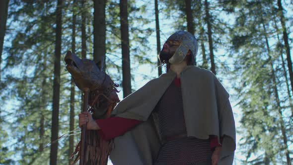 Warrior with the Dacian Draco alt