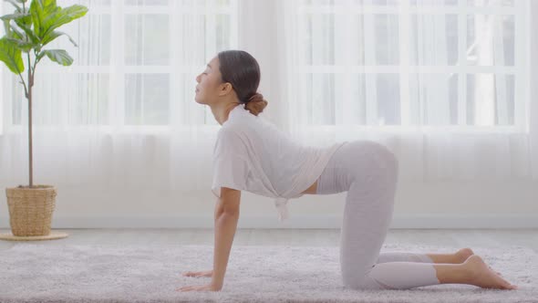 Calm of Athletic Asian woman in sportwear practice yoga Cat Cow pose to breathing and meditation alt