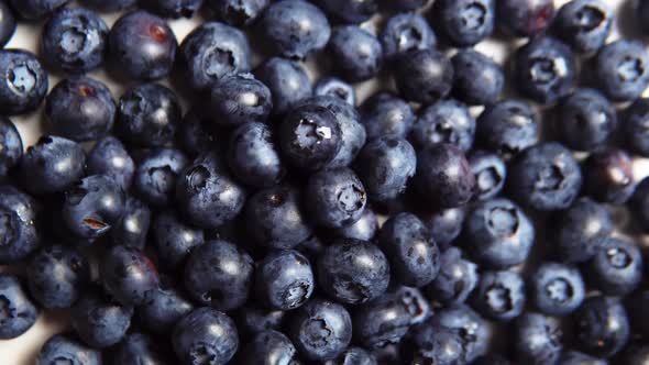 The Bunch with Fresh Blueberries on the White Surface