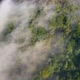 Morning Fabulous Fog That Covers the Mountains. Aerial Top View of Green Trees Covered with Thick - VideoHive Item for Sale
