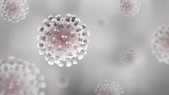 Coronavirus particles floating on white gray background