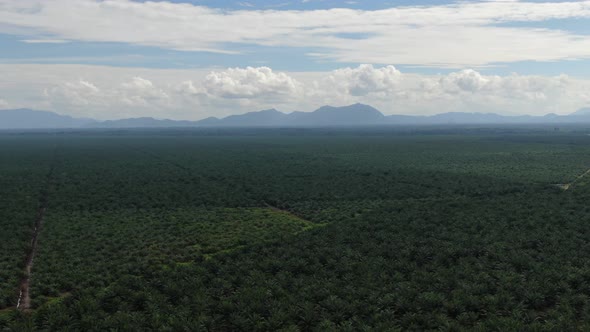 The Beaches at the most southern part of Borneo Island alt