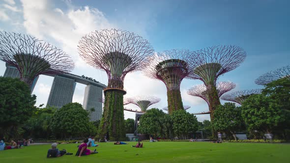 Time lapse supertree grove Futuristic view of amazing illumination with Night light show. alt