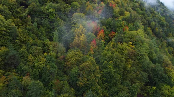 Late Autumn Cityscape By The River alt