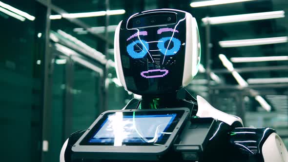 Humanlike Robotic Machine Is Talking and Winking alt