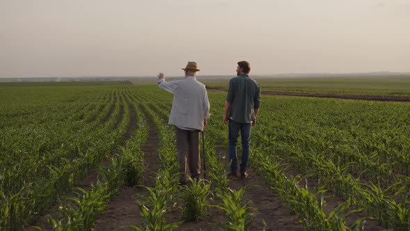 Slow Motion of a Two Farmers That Walk on the Corn Field alt