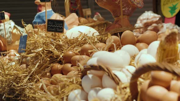 Market Shop Egg By a Lot of Egg Shelf in the Background alt