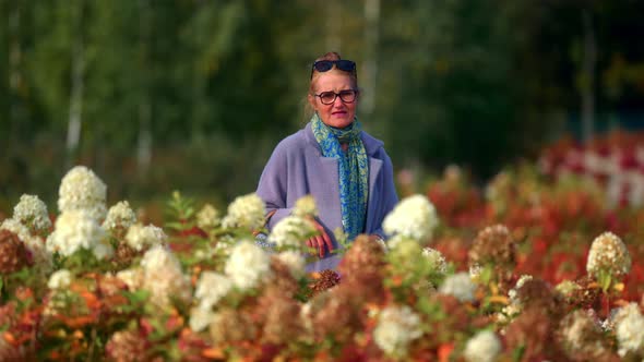 Senior Woman In Blue Overcoat And Eyeglasses Enjoys Walking In Summer Flowerfield In Lithuania. - Pa alt