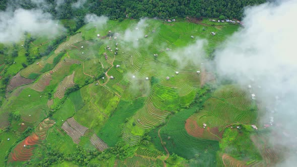 Aerial view of drones flying over rice terraces alt