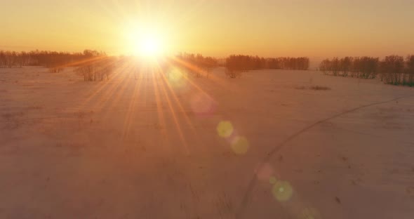 Aerial Drone View of Cold Winter Landscape with Arctic Field Trees Covered with Frost Snow and alt