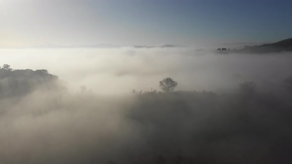 Aerial view of morning fog over forest in Umbria, Italy