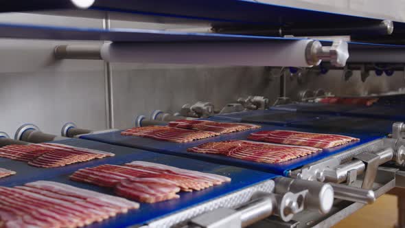 Portions of Thinly Sliced Bacon on Conveyor Belt Before Starting Packaging Process