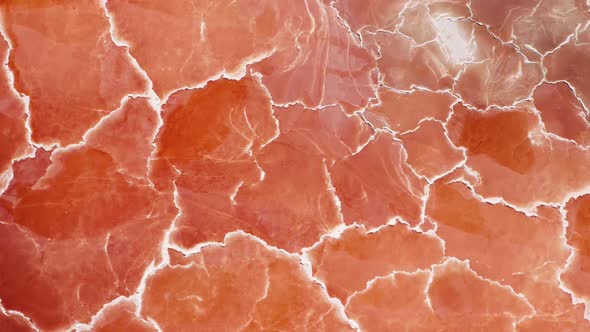 Cinematic Overhead Orange Nature Texture Looks Like Meat or Prosciutto Ham alt