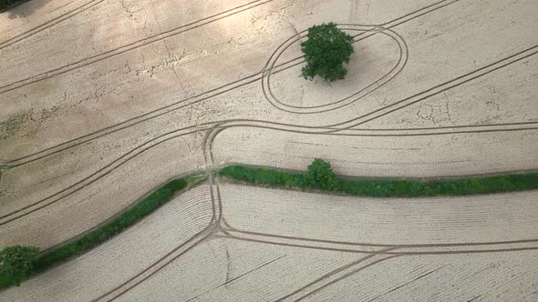 An aerial view of Wheat fields ready for harvest on land in Worcestershire, England. alt