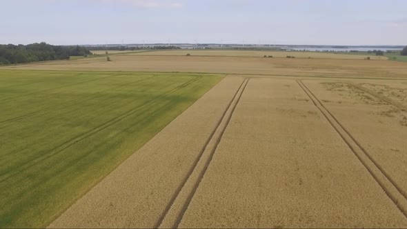 Aerial Video Of Green And Yellow Fields In The Summer