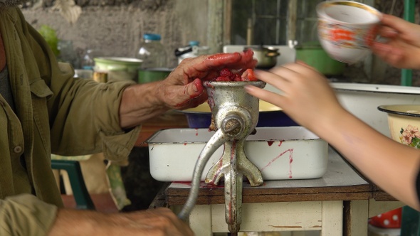Human's hands chops summer berries for jam in grinder closeup alt