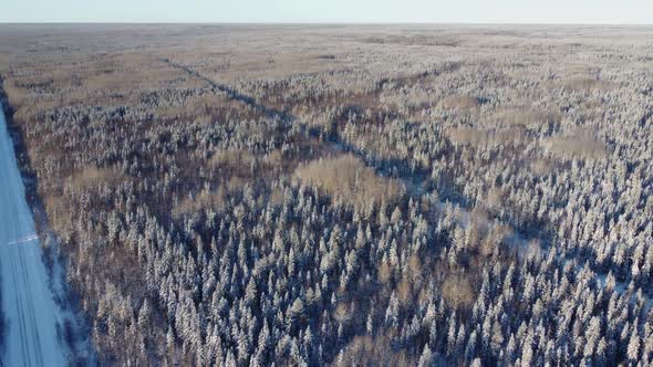 Aerial View From a Drone of a Road in the Middle of Snowcovered Trees and Snowcovered Forest on a