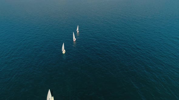 Small Yacht Boats Regatta in Line on Italian Lake alt