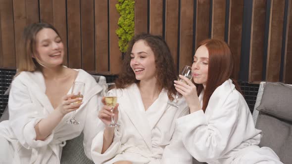 Pleasant Ladies Drinks Alcohol Beverage Having Positive Face Expression