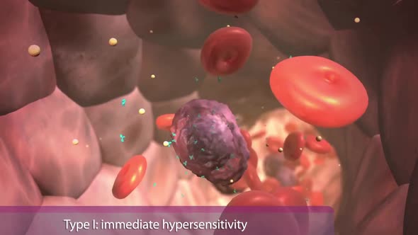 The importance of antigens and antibodies in the immune system alt