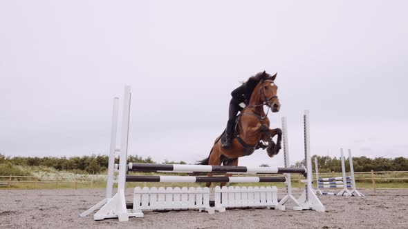 Woman Riding Horse And Jumping Over Fence In Paddock alt