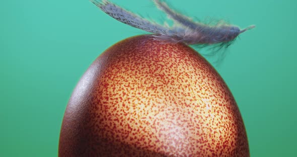 Color correction, a beautiful brown egg with freckles rotate around an axis on the background